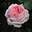 Роза чайно-гибридная ‘Myriam’ (AmazingGrace)